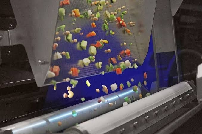 Food Sorting Equipment: Complete 2026 Guide
